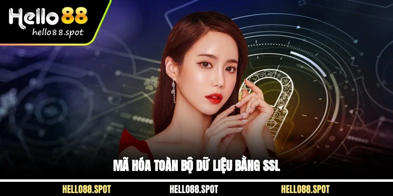 Mã hóa toàn bộ dữ liệu bằng SSL